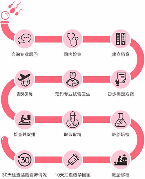 供卵试管代怀咨询机构-供卵试管代怀咨询机构:专业指导与服务