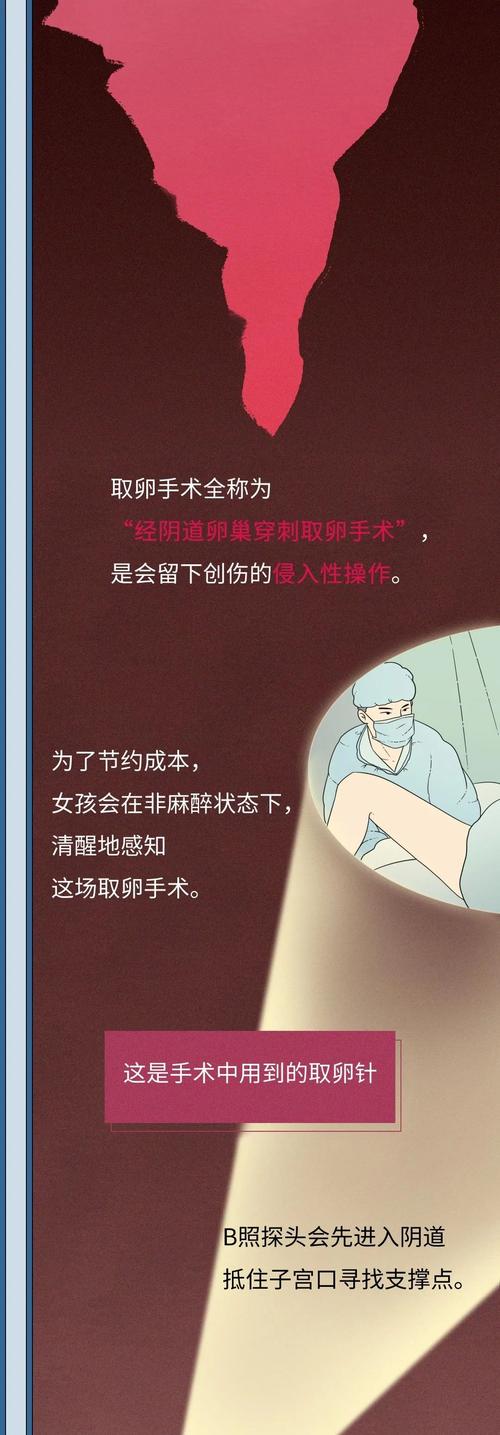供卵违法吗【供卵违法吗?法律如何规定?】