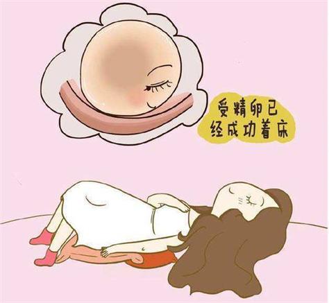 供卵费用贵吗_供卵费用高昂吗?
