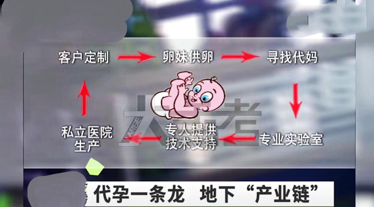 供卵泰国和台湾哪里好-泰国与台湾：哪里更适合供卵？
