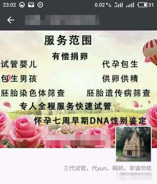 供卵试管代怀有哪些【供卵试管代怀:全面解析代孕流程及注意事项】