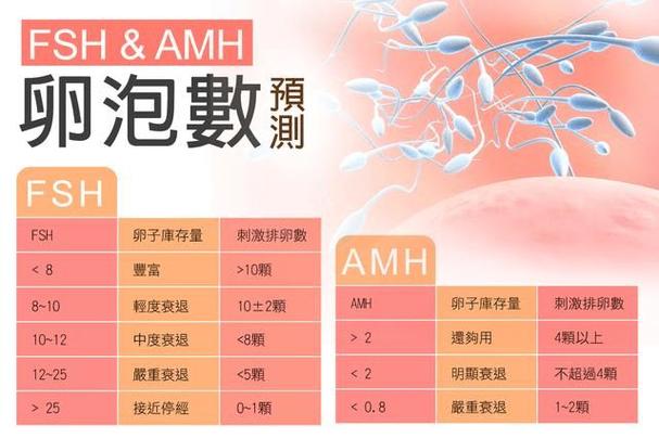 供卵代生子_代孕:供卵者的选择与责任
