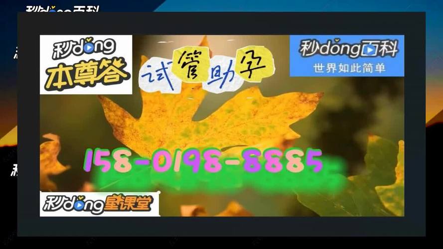 供卵试管代怀双胞胎电话_寻找供卵试管代怀双胞胎电话,解答你的疑惑