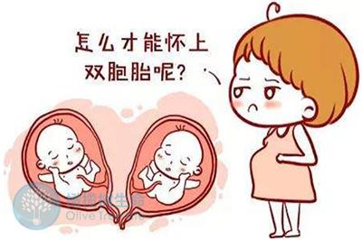 供卵试管中介触犯法律吗_供卵试管中介触犯法律吗?解析法律风险与责任